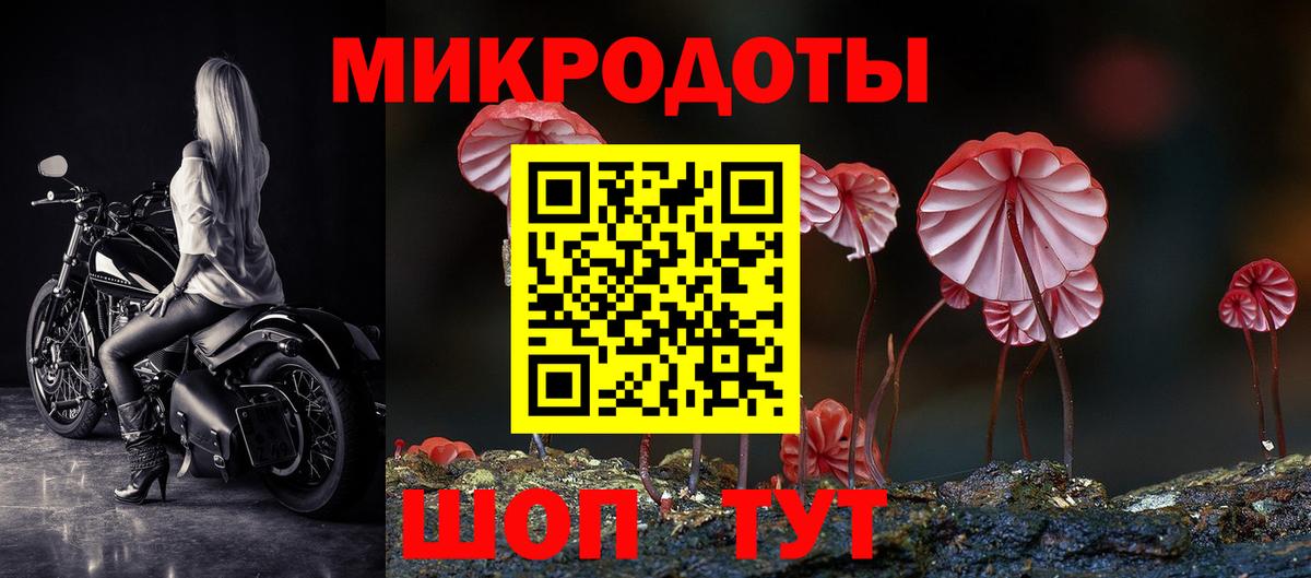 Энгельс  Псилоцибиновые грибы Psilocybe  продажа наркотиков  Вход с VPN 